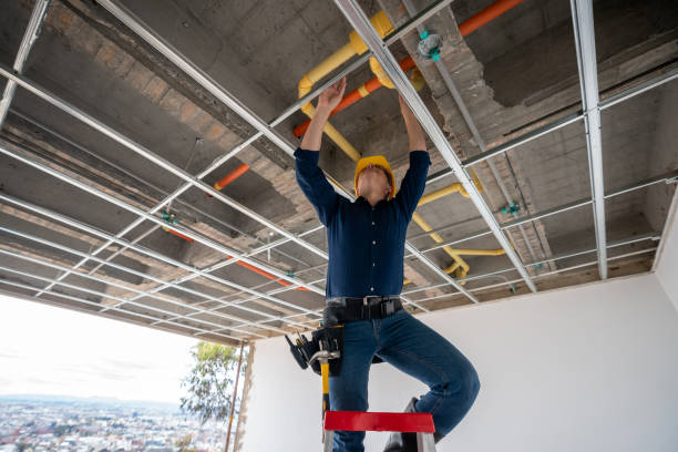 Best Sprinkler Systems  in Ferris, TX