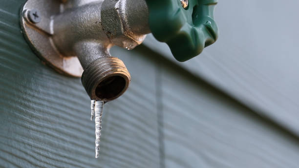 Best Sprinkler Systems  in Ferris, TX